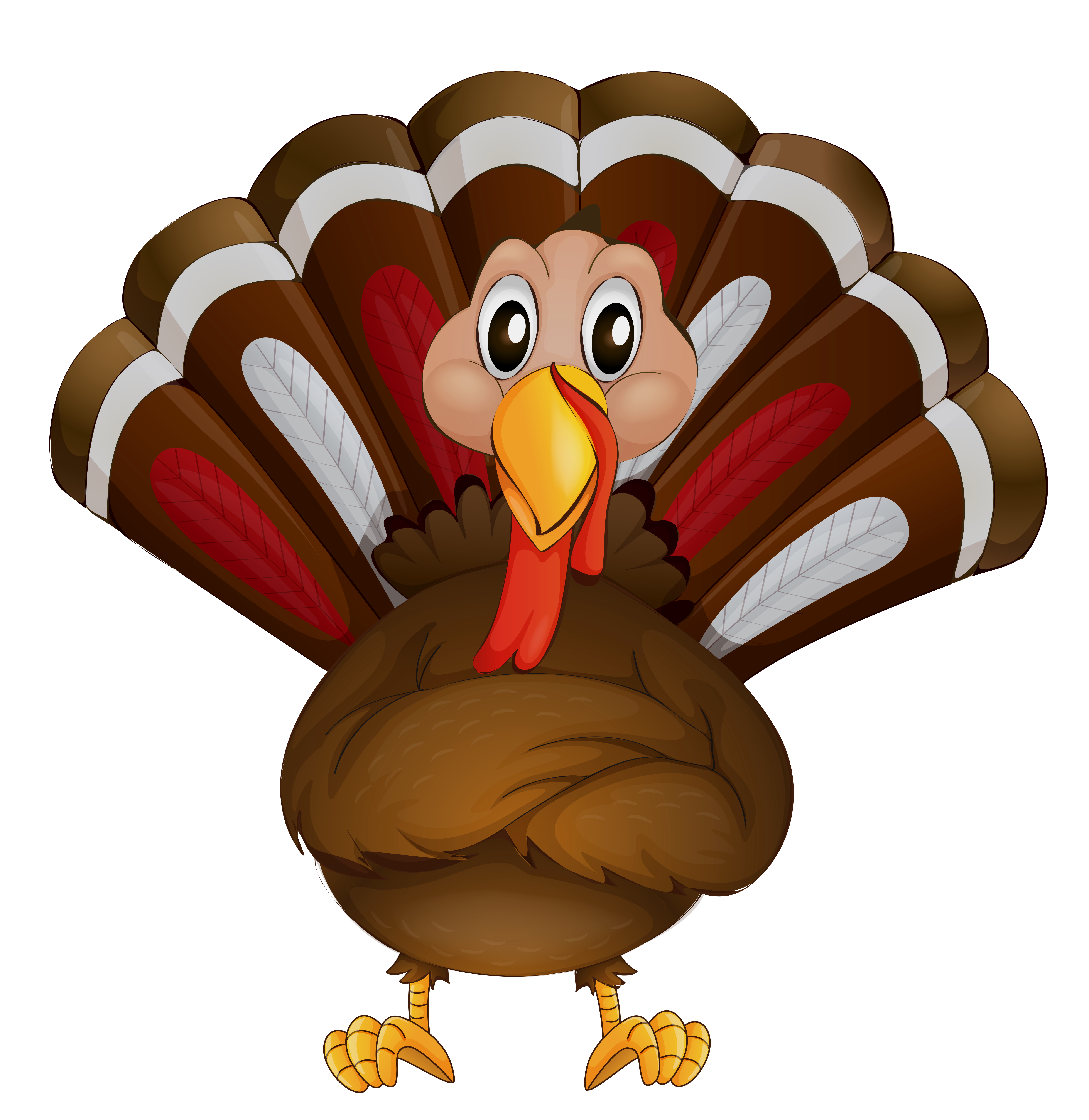 Transparent thanksgiving turkey.