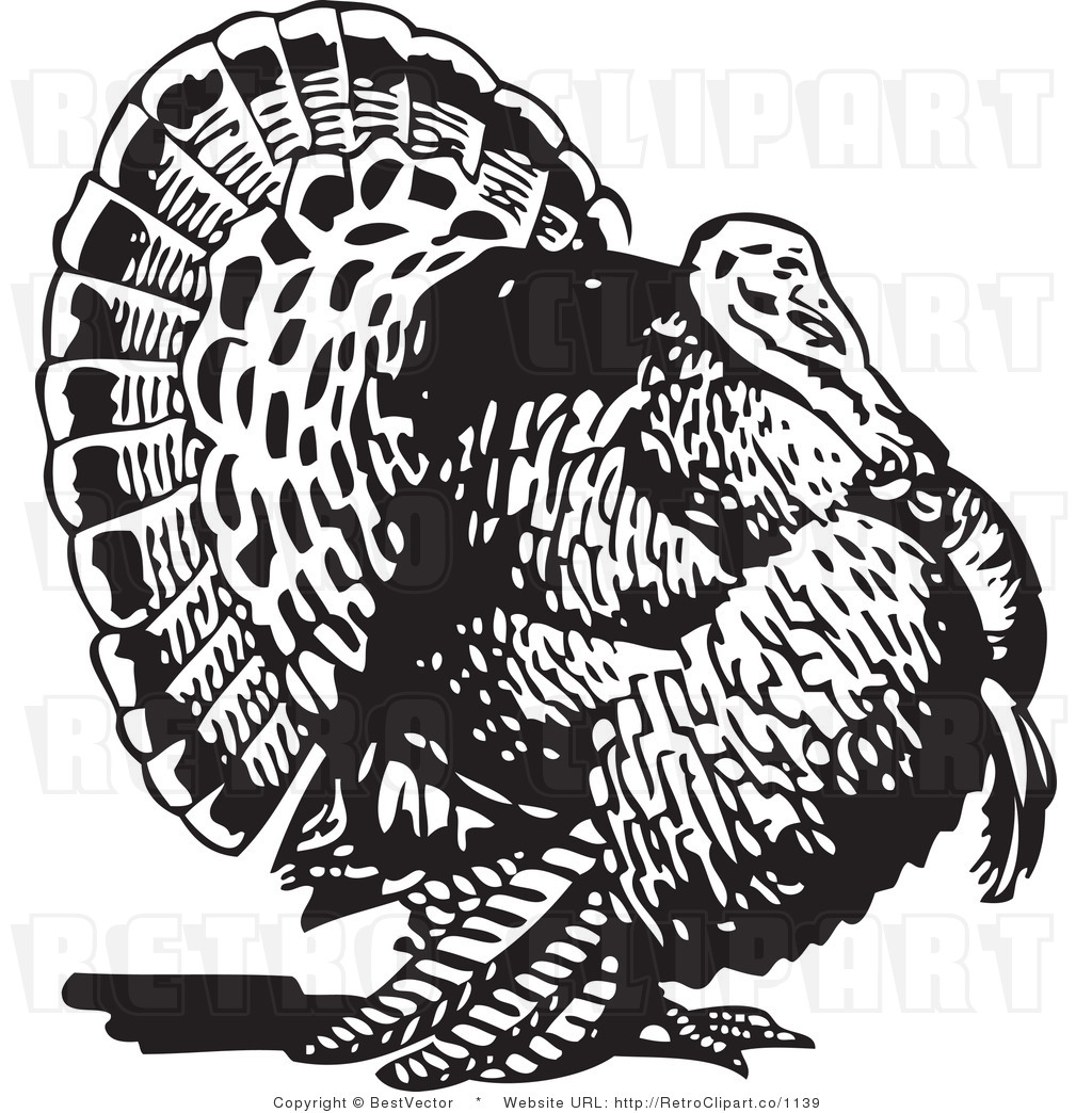 Turkey black and white wild turkey clipart black and white