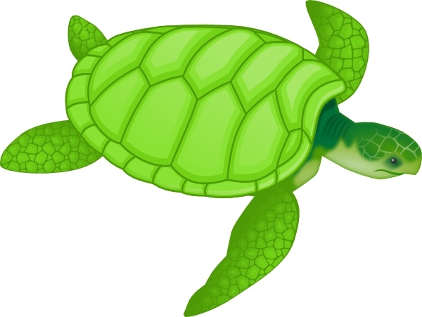 Green Sea Turtle clip art Free vector in Open office drawing