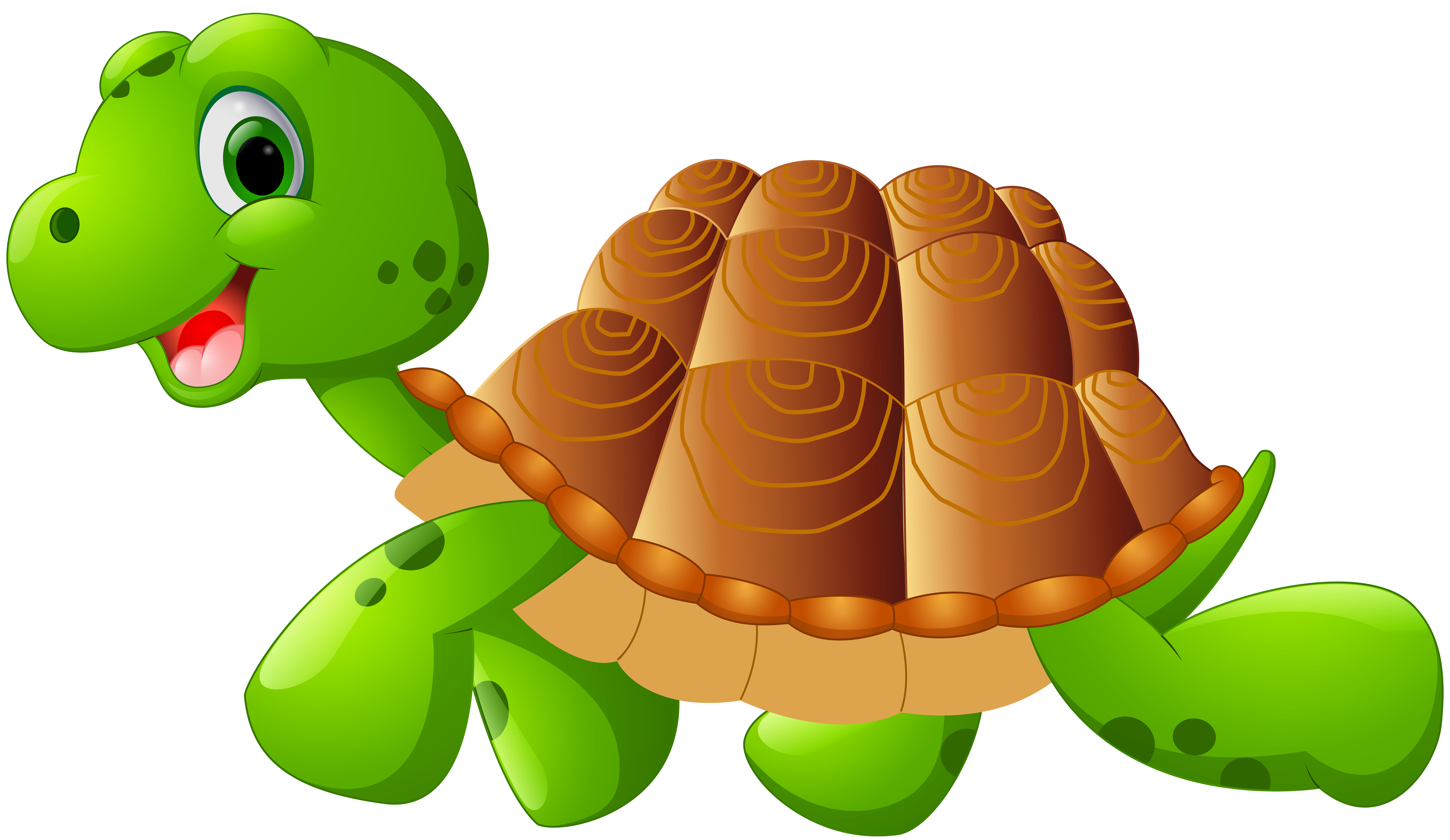 Turtle Cartoon PNG Clip Art Image