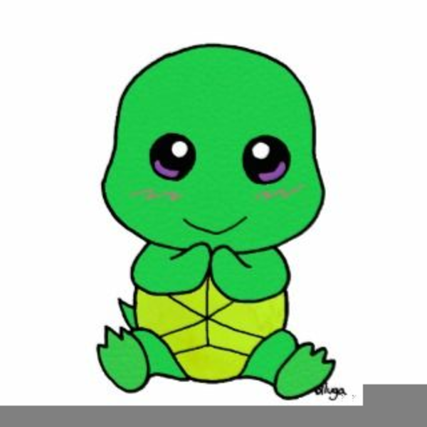 Cute baby turtle.