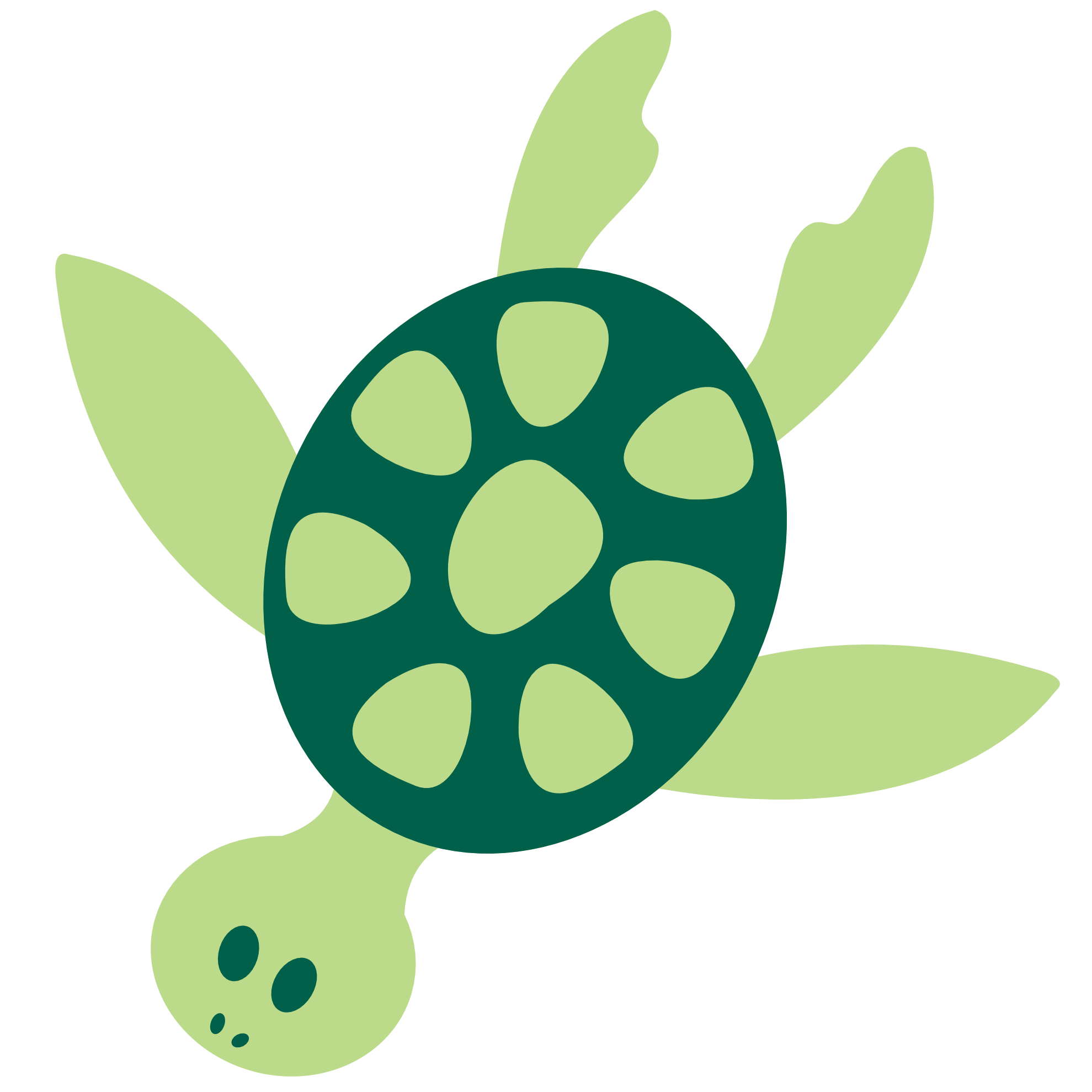 Colorful Animal Sea Turtle