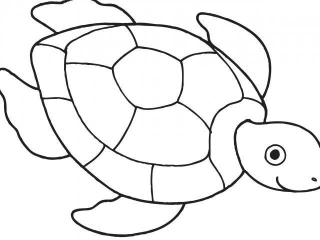 Free Sea Turtle Clipart, Download Free Clip Art on Owips
