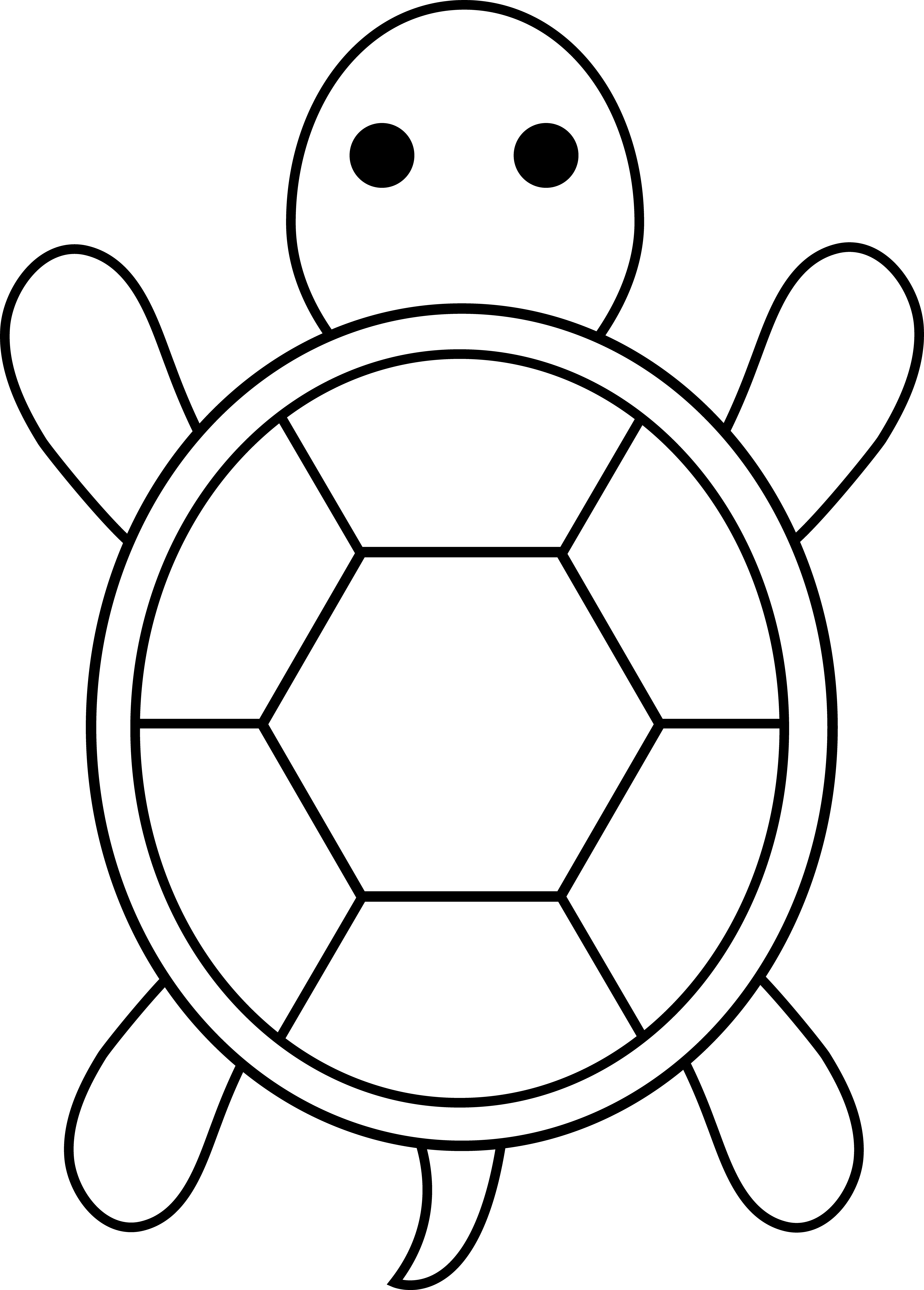 Free Turtle Images Free, Download Free Clip Art, Free Clip