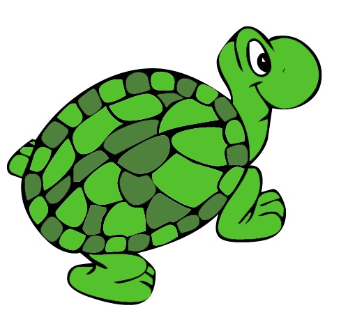 Green turtle clipart.