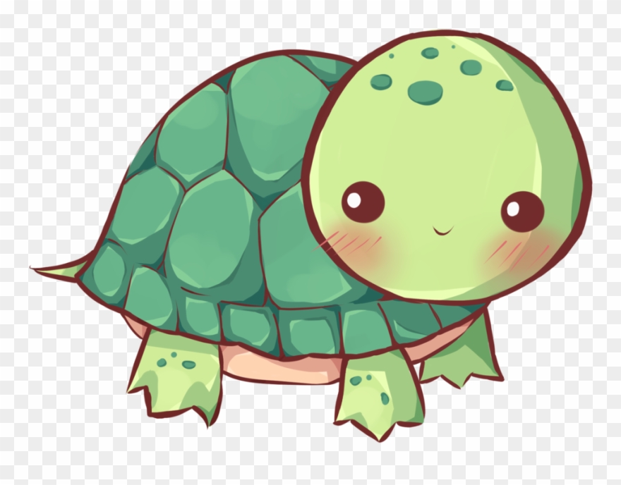Drawn Turtle Transparent