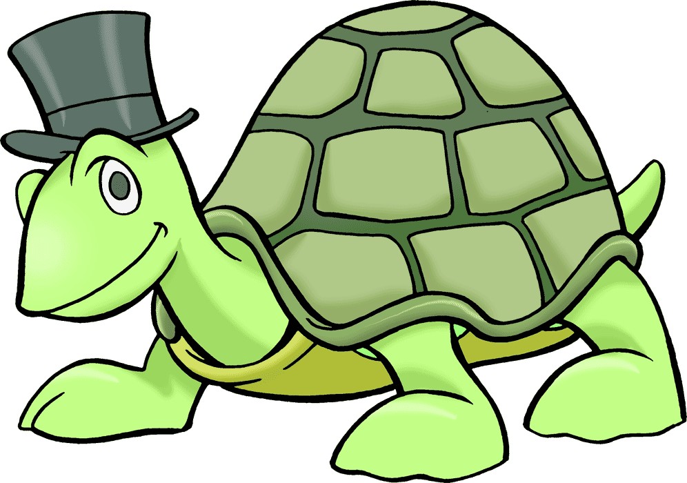 Turtle clipart for.