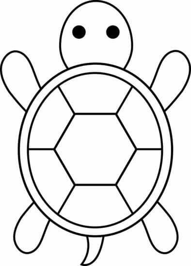 Turtle outline free.
