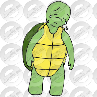 Sad turtle picture.