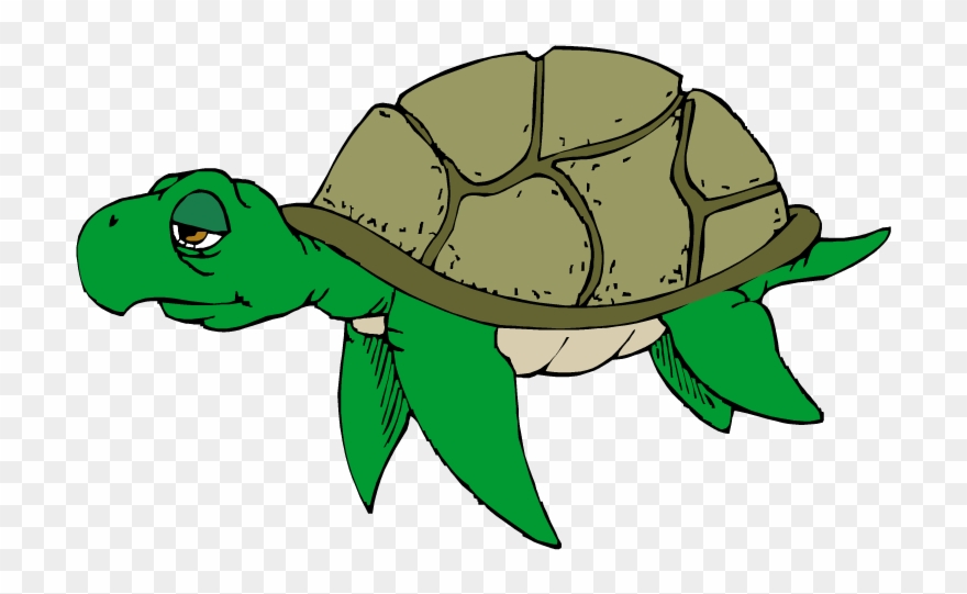 turtle clipart sad