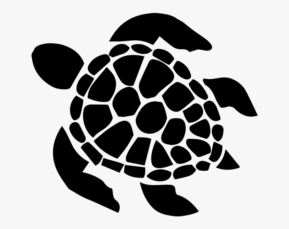 Sea turtle patterned.