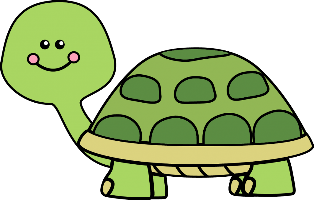 Clipart turtle box.