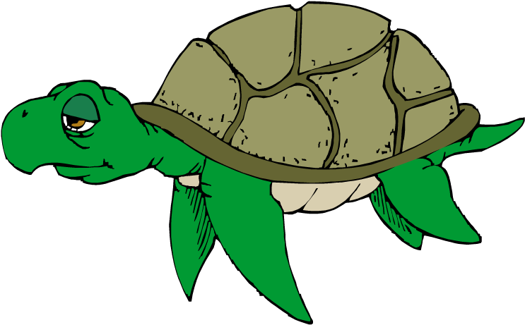 Cartoon turtle clipart.