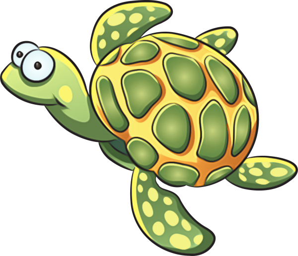 Clipart summer turtle.
