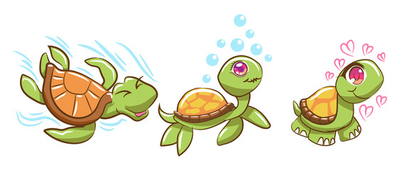 Search photos turtle.