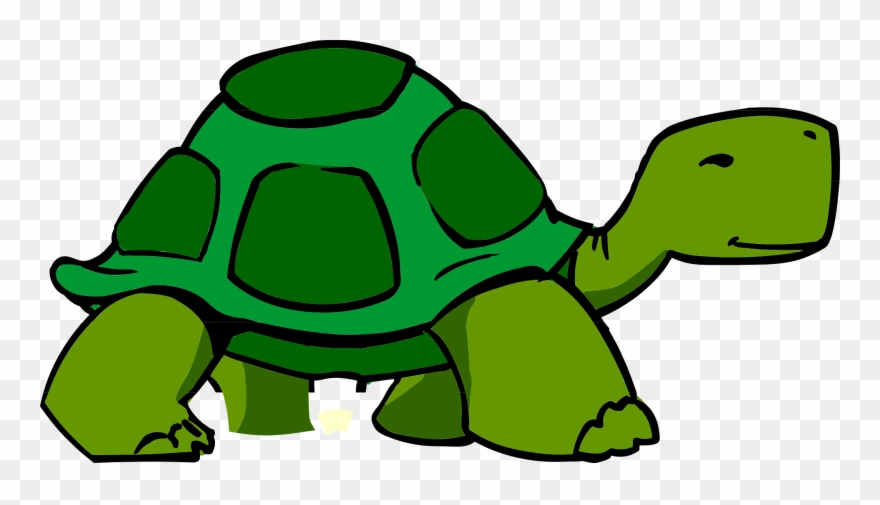 3d Clipart Turtle