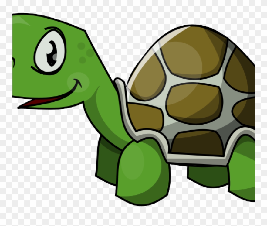 Clipart Eyes Turtle