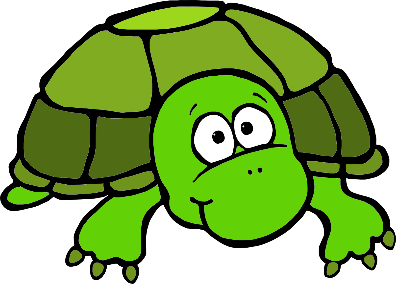 Turtle clipart free.