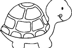 Turtle clipart outline.