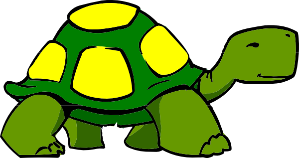 Free turtle images.