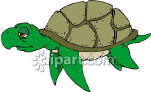 Cartoon Sea Turtle