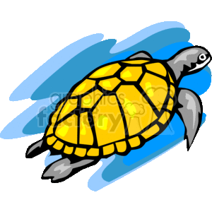 Marine sea turtle.