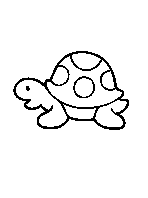 Simple Turtle Drawing