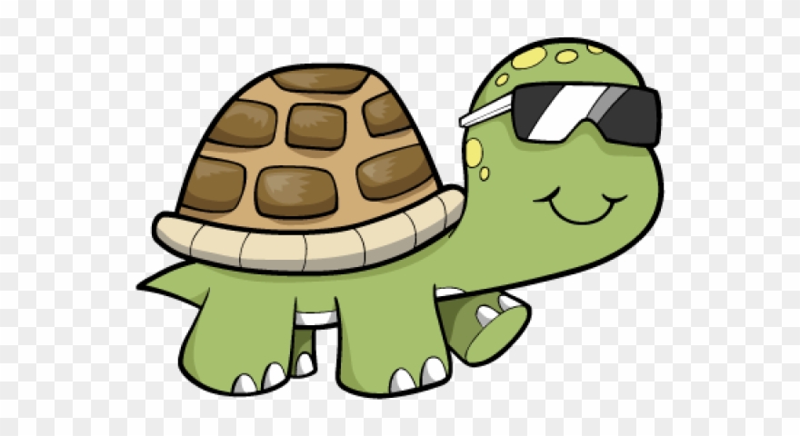 Cool Pictures Of Turtles Clipart