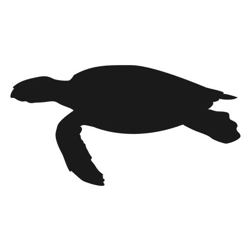 Turtle Silhouette Png