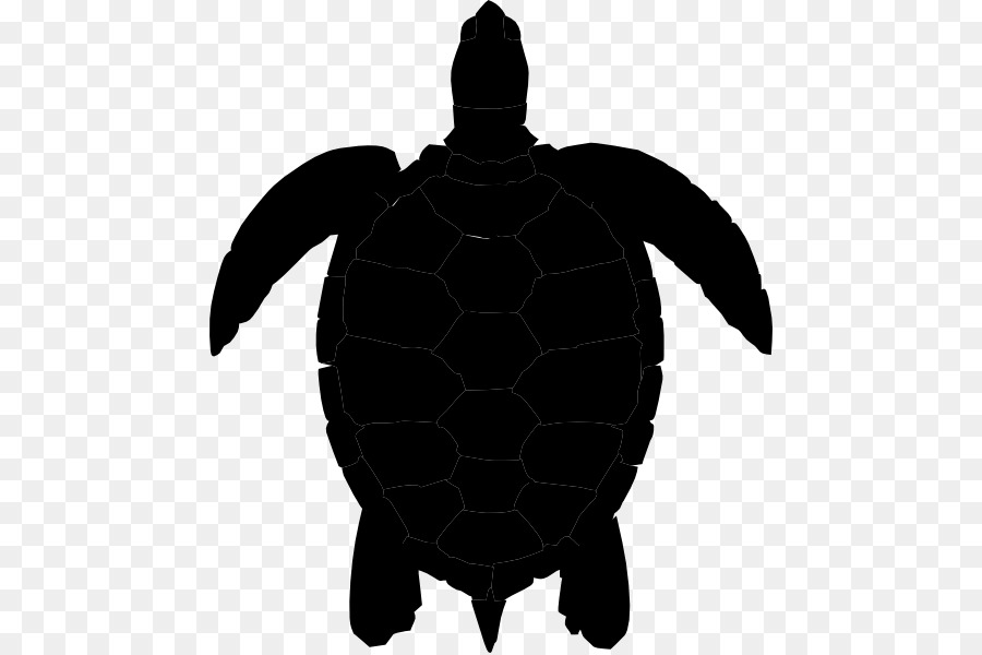 Turtle silhouette png.