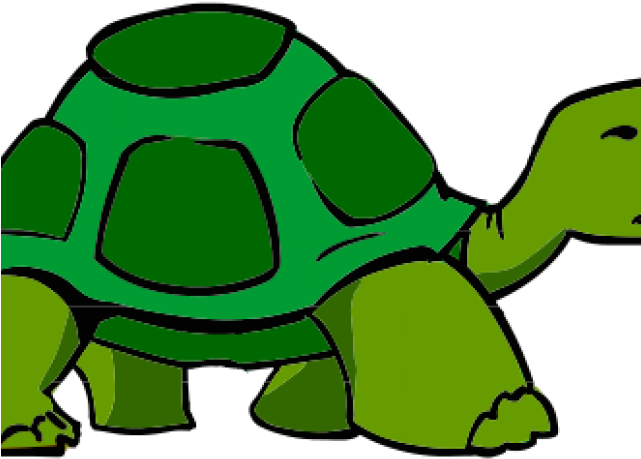 HD Tortoise Clipart Pagong
