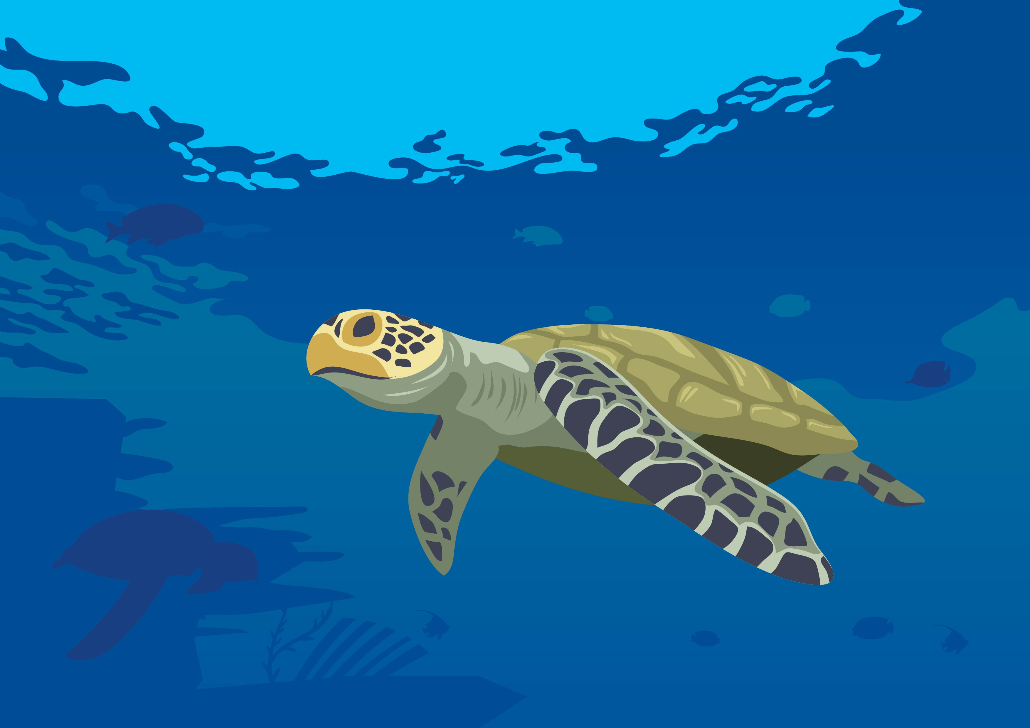 Turtles green clipart tropical sea turtle pictures on ...