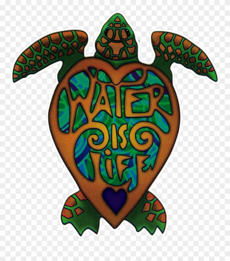 Water life turtle.