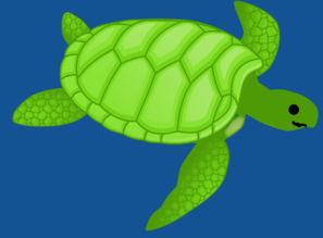 Sea Turtle Clip Art at Clker