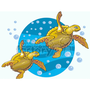 Pair of sea turtles swimming through ocean clipart
