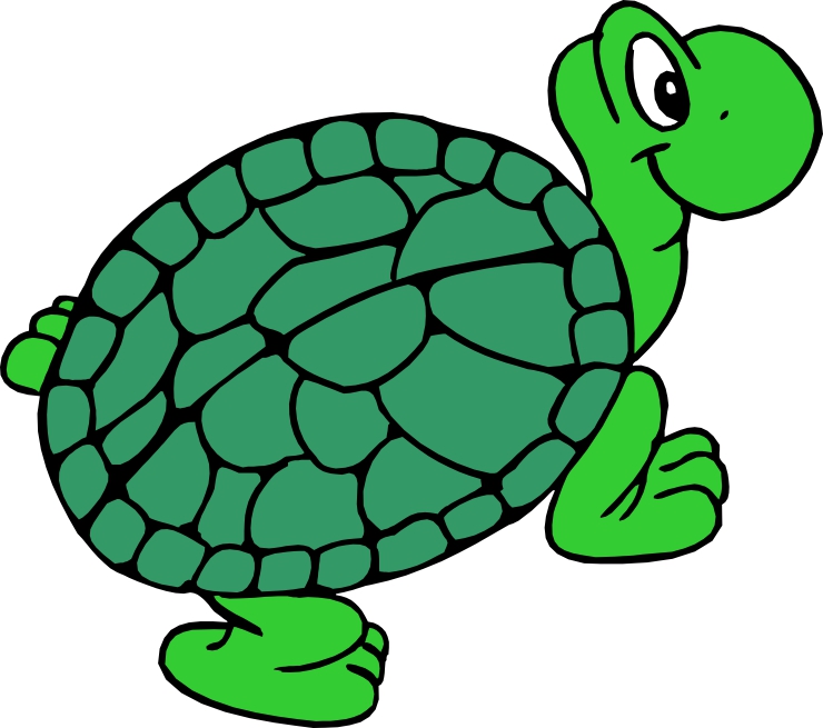 turtles green clipart cartoon