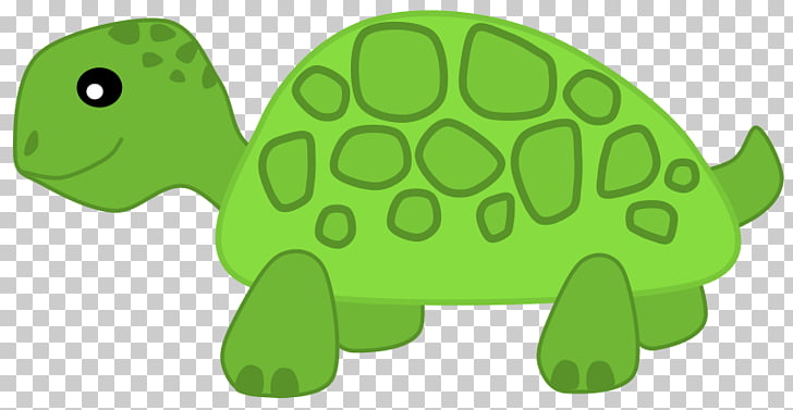 Turtle herbivore cartoon.