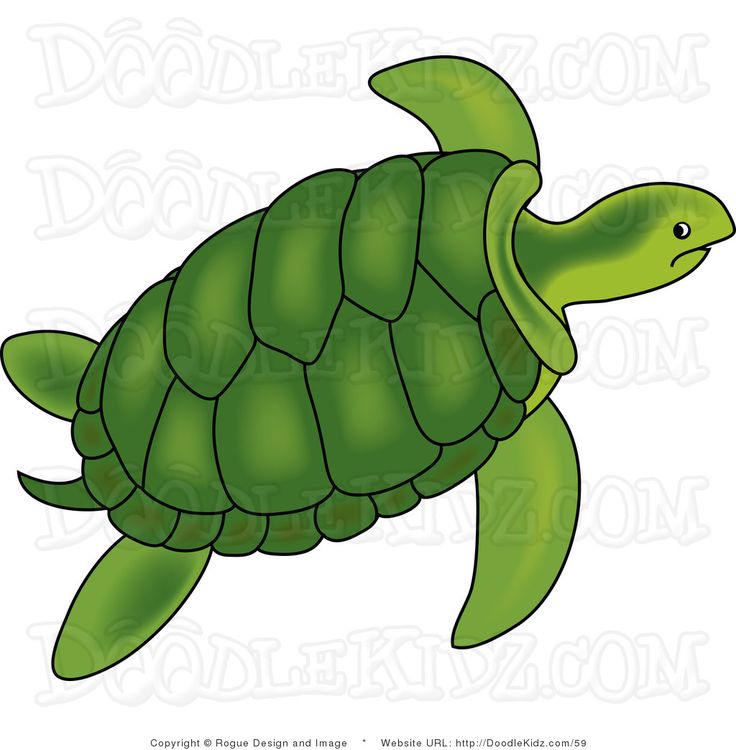 Free Turtle Images Free, Download Free Clip Art, Free Clip