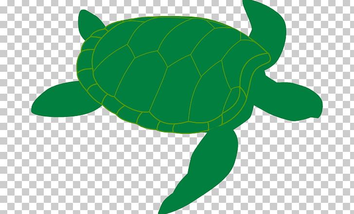 Green Sea Turtle PNG, Clipart, Animal, Download, Fauna, Free