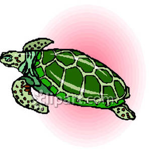 Green Swimming Sea Turtle