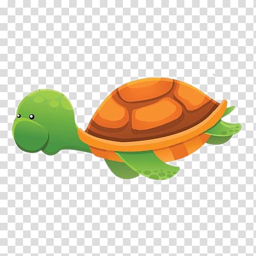 Green and brown turtle illustration, Aquatic animal