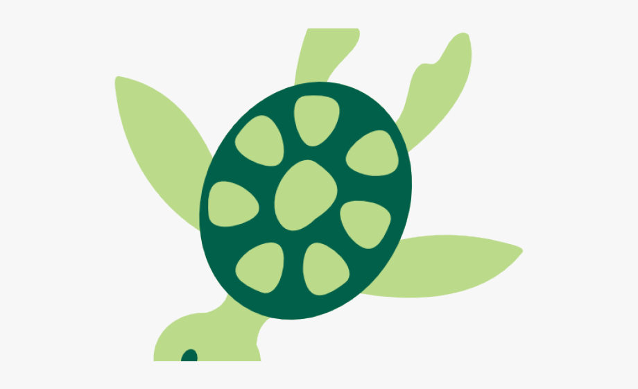Sea Life Clipart Green Sea Turtle