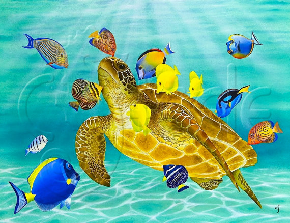 Green sea turtle, surgeonfish, tang fish, sun dappled water