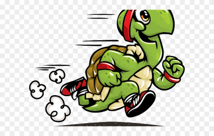 Turtoise clipart racing.