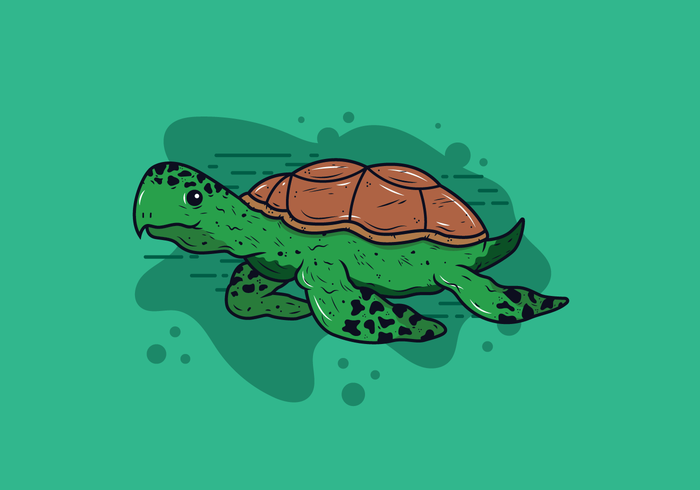 Turtles vector download.