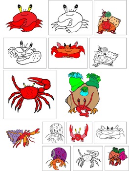 Hermit Crab and Friends Commercial Clip Art