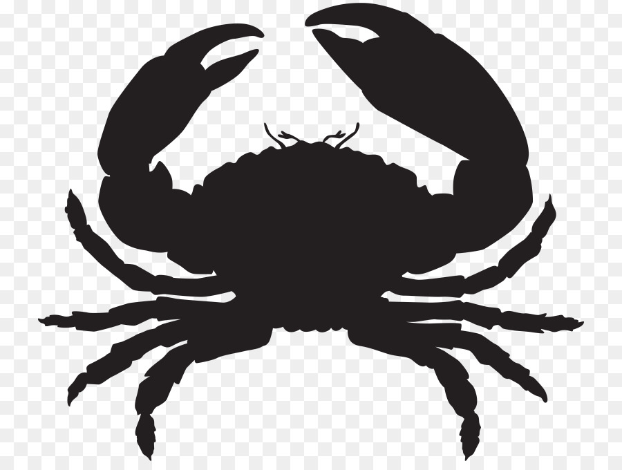 types of crabs clipart cartoon illustration