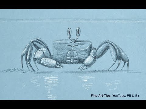 How to Draw a Ghost Crab