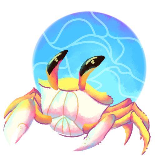 Golden ghost crab