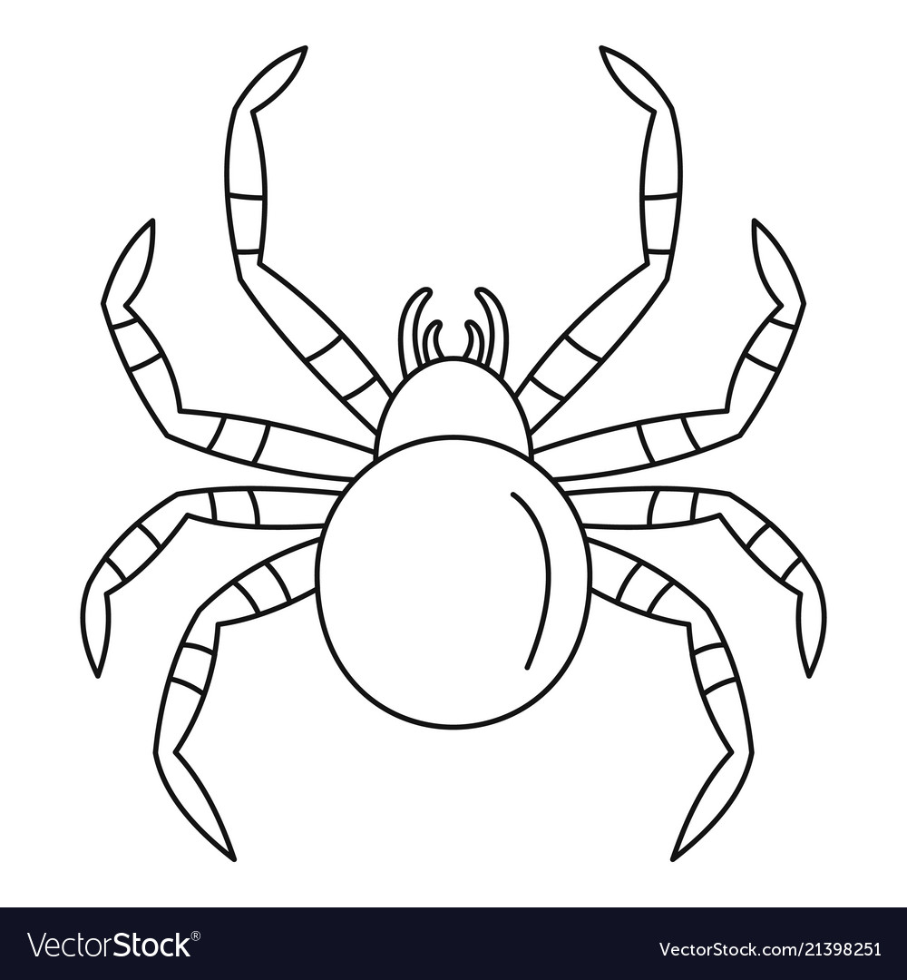 Tarantum spider icon outline style